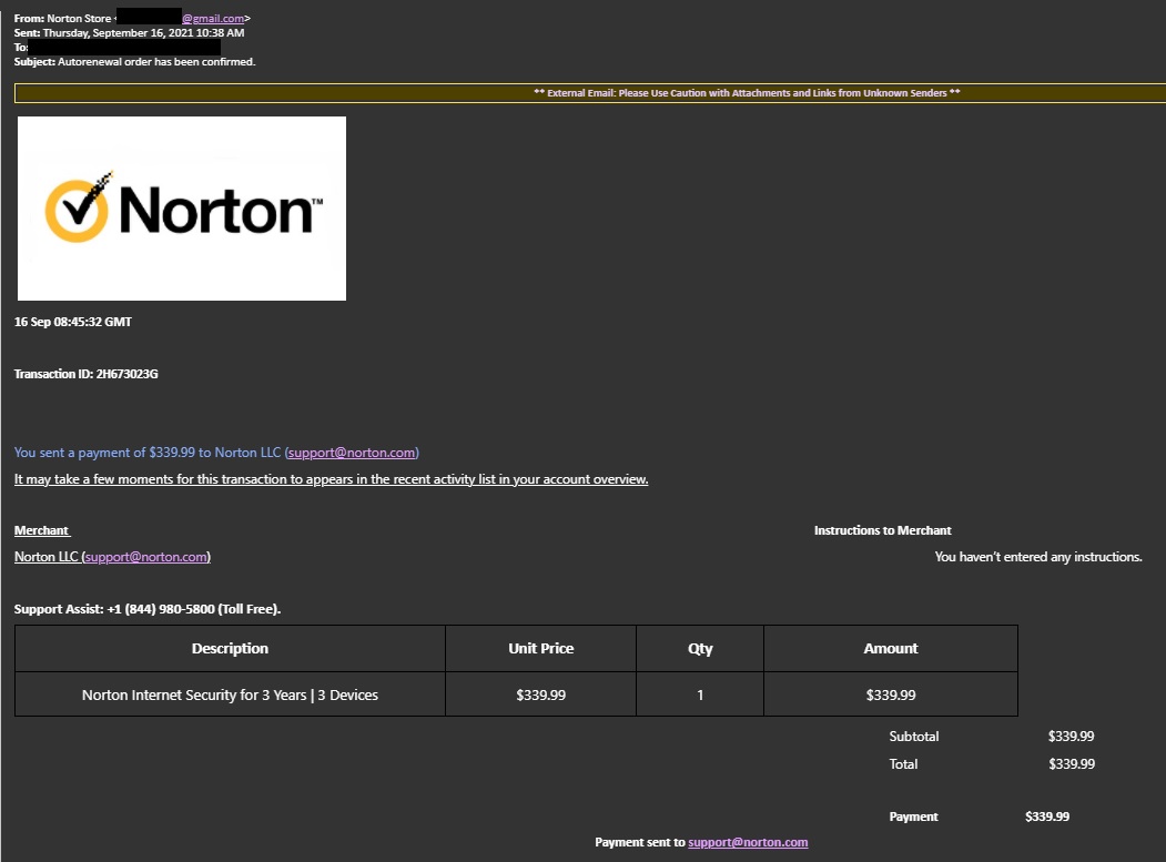 Norton Store Scam