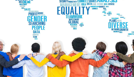 Declaración del programa de estudios de diversidad