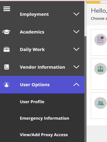 User Options menu showing View/Add Proxy Access User Options menu showing View/Add Proxy Access