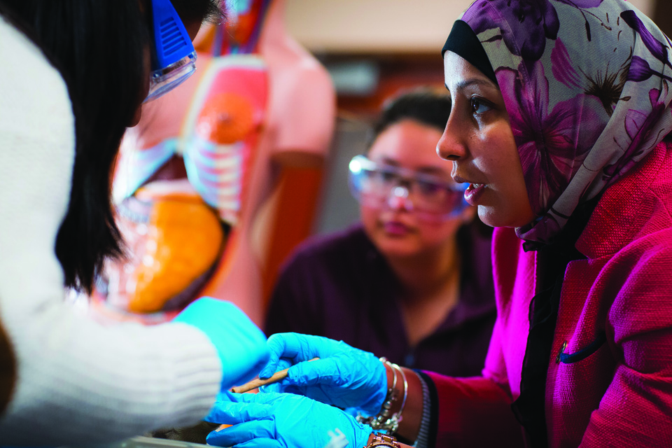 HCCC Associate Professor of Biology, Dr. Nadia Hedhli (in foreground), instructs students during a biology laboratory class.