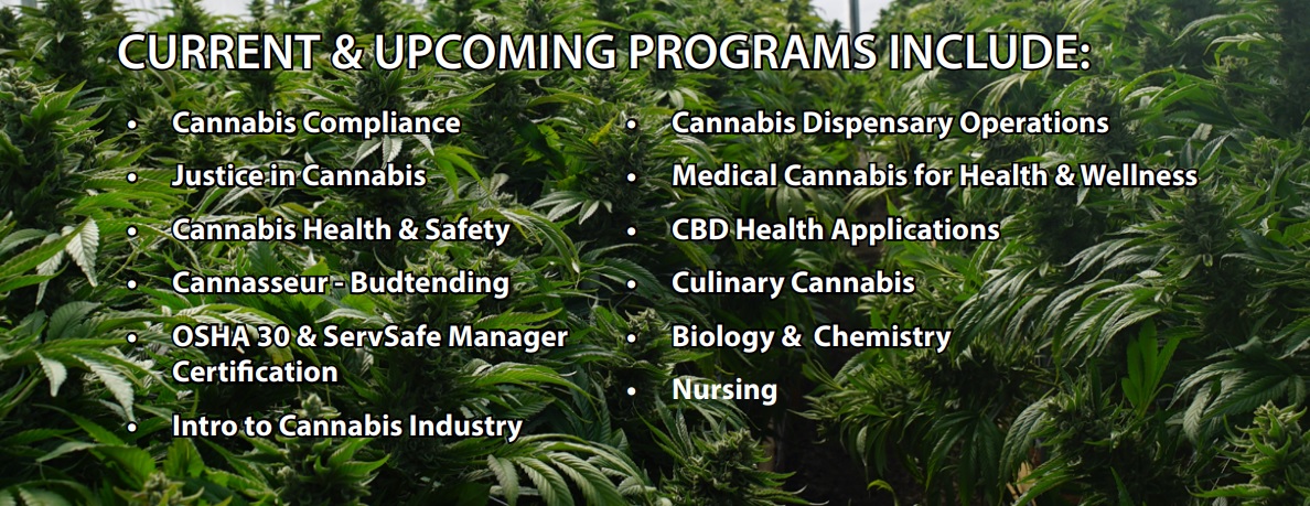 Cannabis Programs