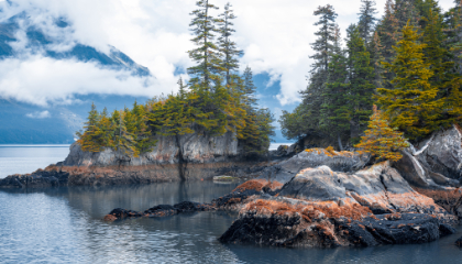 Wild and Well in Alaska