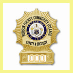 Logotipo de seguridad y protección